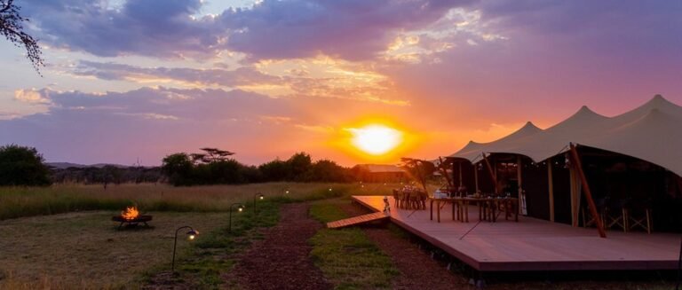 Tamu-Tamu-Serengeti-Camp