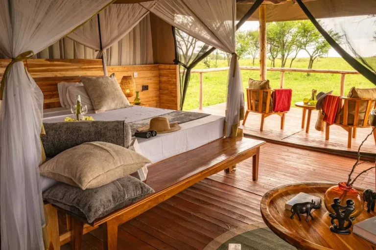 Tukaone-Serengeti-Camp-Tanzania-Safari-Experiences