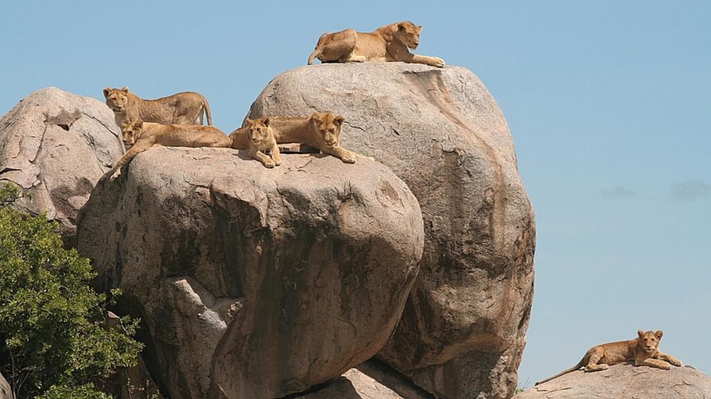 Arusha