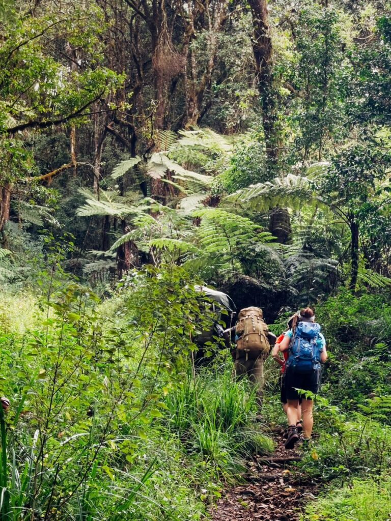 Mount Kilimanjaro Climbing
