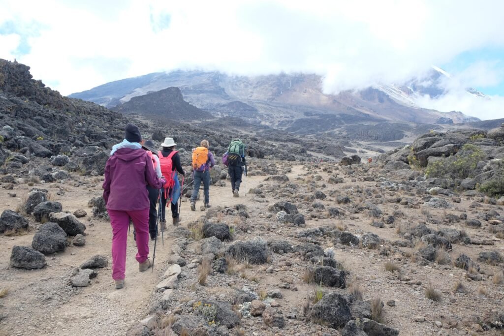 Kilimanjaro