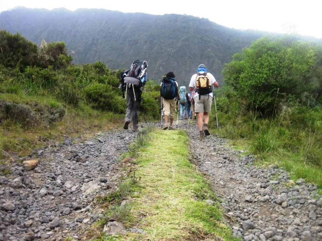 Kilimanjaro Group Trek