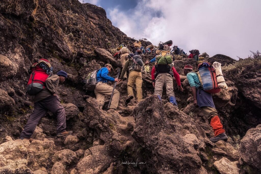 Lemosho Kilimanjaro