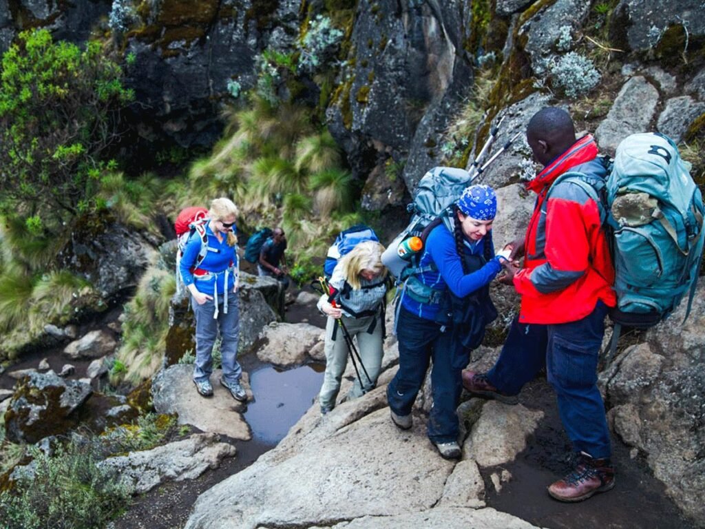 Trekking