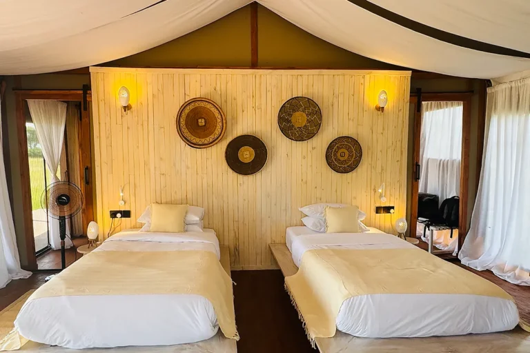 tamutamu-rooms1