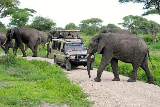 Tanzania Modern Adventure